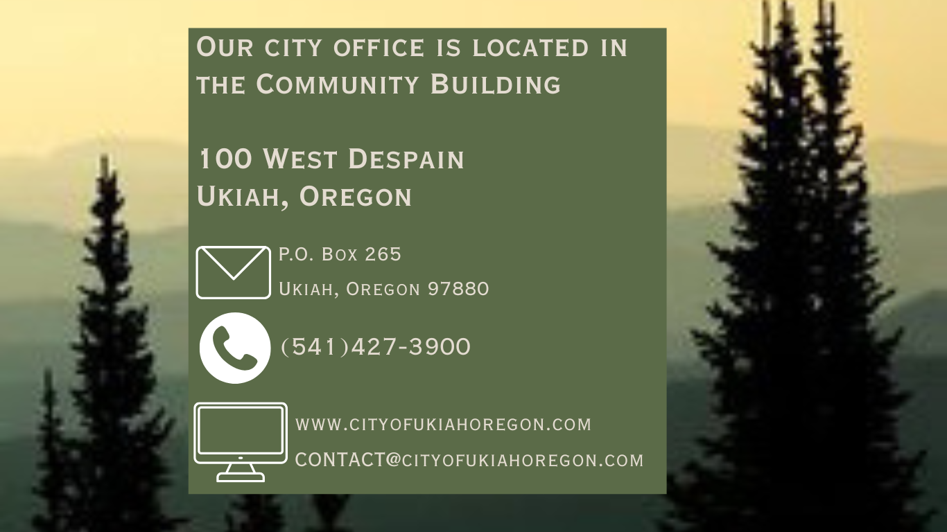 Contact City Hall